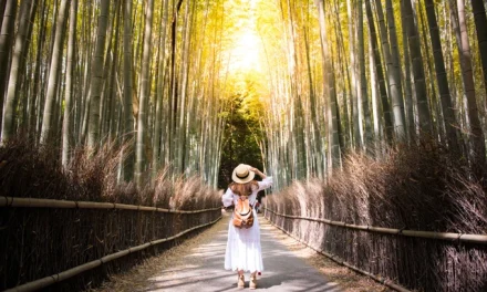 Jangan Salah Waktu! Ini Tanggal Paling “Mengerikan” untuk Liburan ke Jepang