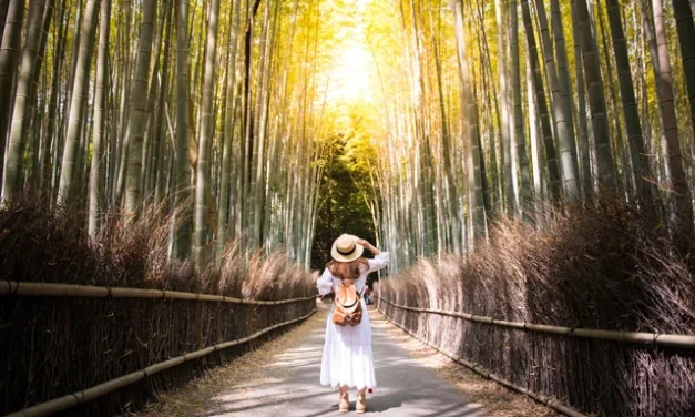 Jangan Salah Waktu! Ini Tanggal Paling “Mengerikan” untuk Liburan ke Jepang