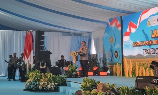Tak Main-Main! Polri Panen 743 Ribu Ton Jagung Demi Ketahanan Pangan Nasional
