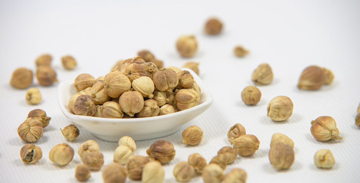 Dari Nusantara ke Dunia: Rempah Indonesia Siap Naik Kelas