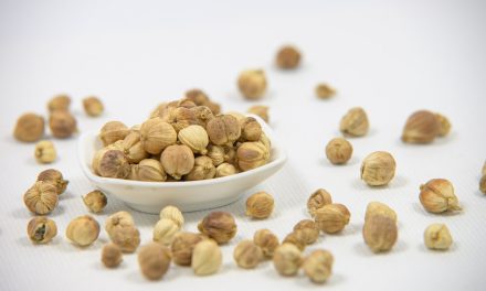 Dari Nusantara ke Dunia: Rempah Indonesia Siap Naik Kelas