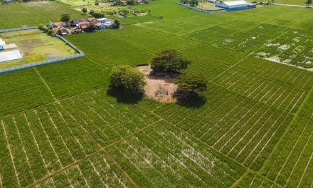 Empat Jejak Sejarah Karawang Resmi Berstatus Cagar Budaya