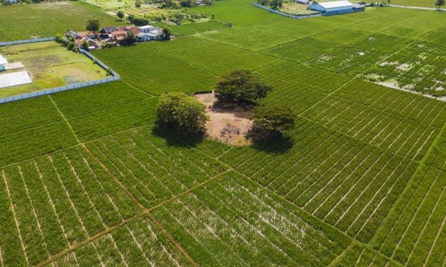 Empat Jejak Sejarah Karawang Resmi Berstatus Cagar Budaya