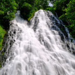 Jarang Diketahui! 5 Air Terjun Indah di Pacitan Ini Bikin Liburan Makin Berkesan