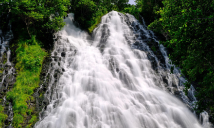 Jarang Diketahui! 5 Air Terjun Indah di Pacitan Ini Bikin Liburan Makin Berkesan