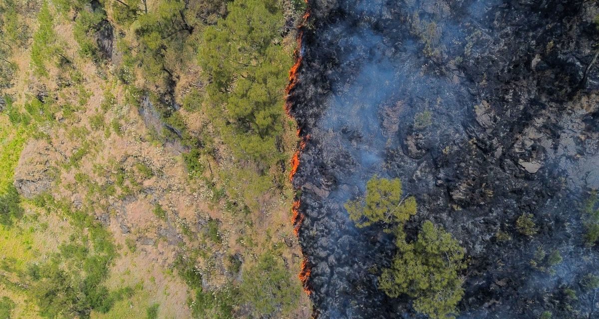 Kebakaran Gunung Bromo Jadi Sorotan Dunia, 550 Hektar Lahan Hangus