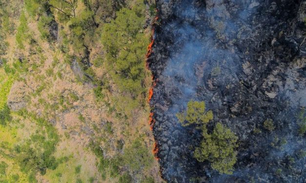 Kebakaran Gunung Bromo Jadi Sorotan Dunia, 550 Hektar Lahan Hangus