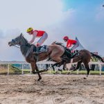 IHR Merdeka Cup 2026 di Payakumbuh Sukses Digelar, Pacuan Kuda Indonesia Menuju Panggung Dunia