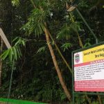 Kearifan Lokal Ciamis Jadi Benteng Pelestarian Alam, BRIN Teliti Situs Keramat