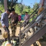 Tradisi Mappaende di Bulo, Wujud Syukur Panen dan Pelestarian Warisan Leluhur