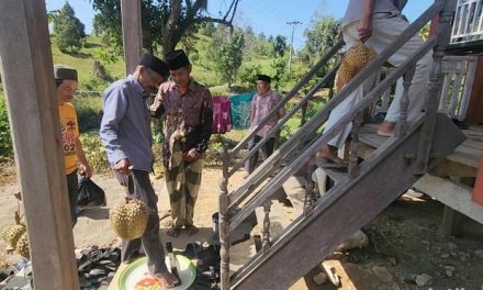 Tradisi Mappaende di Bulo, Wujud Syukur Panen dan Pelestarian Warisan Leluhur