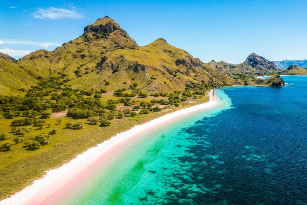 Pink Beach Komodo masuk tiga besar pantai terbaik dunia 2026 versi Big 7 Travel